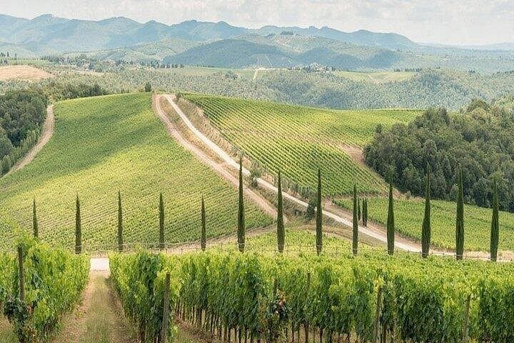Private Chianti Winery Tour from Livorno with pick up and drop off — photo 1 of 7
