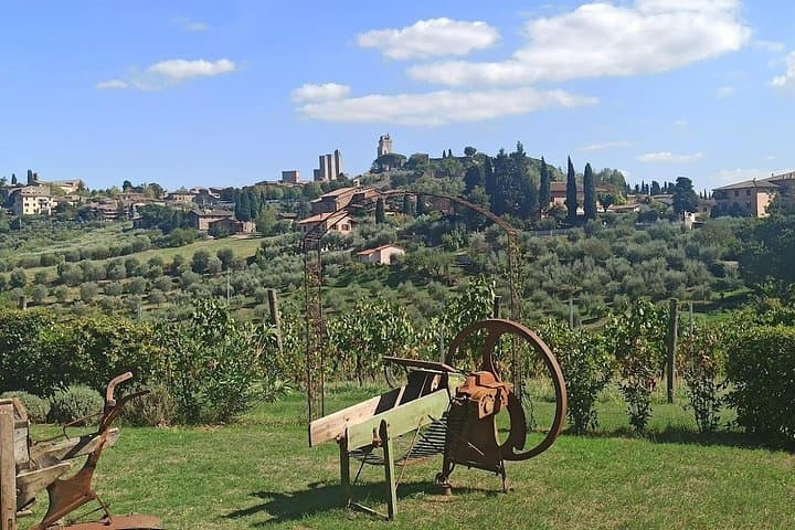HALF-DAY: Chianti Classic Tour with Wine Experience & visit of San Gimignano — photo 1 of 48