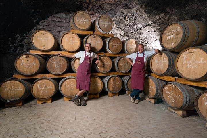 Trentino Wine Journey: Organic Vineyards & Local Delights — photo 1 of 15