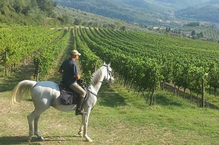 Horseback ride and gourmet cuisine in a historic food shop — photo 1 of 12