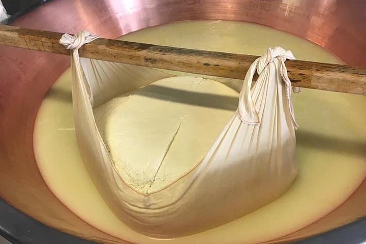 Parmigiano Cheese Factory Visit and Tasting — photo 1 of 11