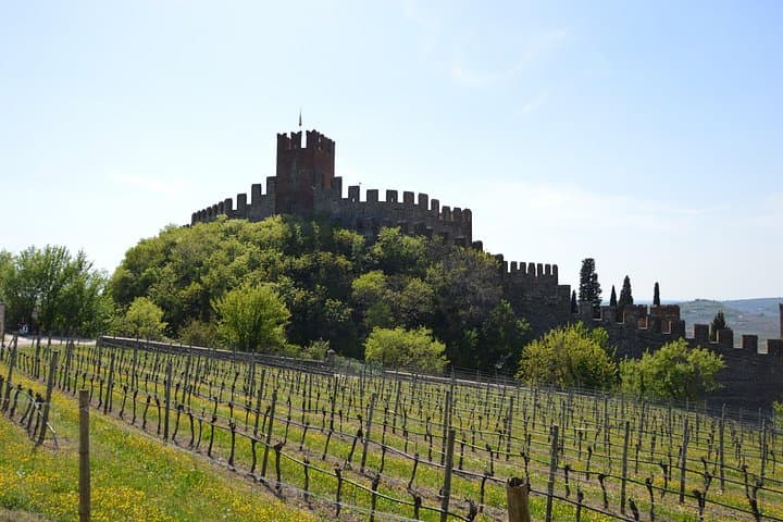Pagus Wine Tours® - Soave and Amarone - Half day wine tour — photo 1 of 8