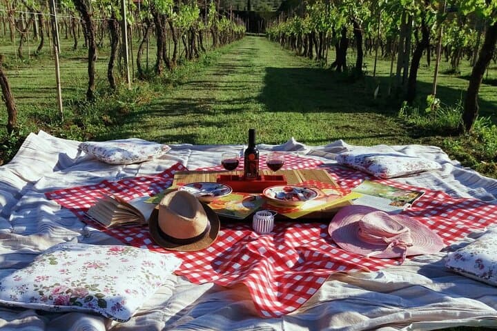 Lucca: self-guided bike tour + picnic in the vineyards — photo 1 of 6