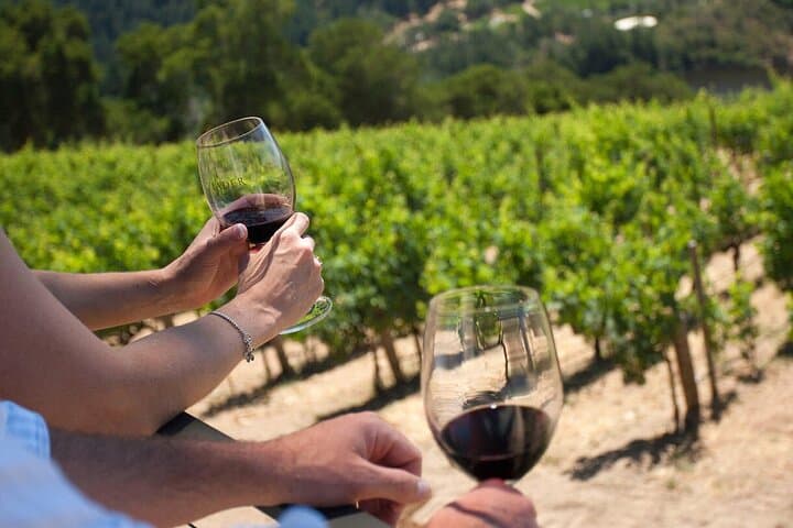 Private Chianti Classico Wine Tasting Tour in Two Family Wineries — photo 1 of 27