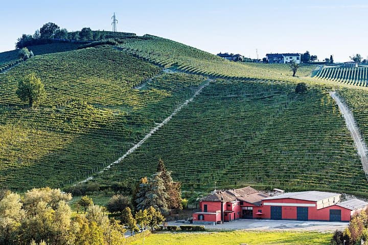 Monferrato (Asti province): Barbera Wine Tasting Experience — photo 1 of 7