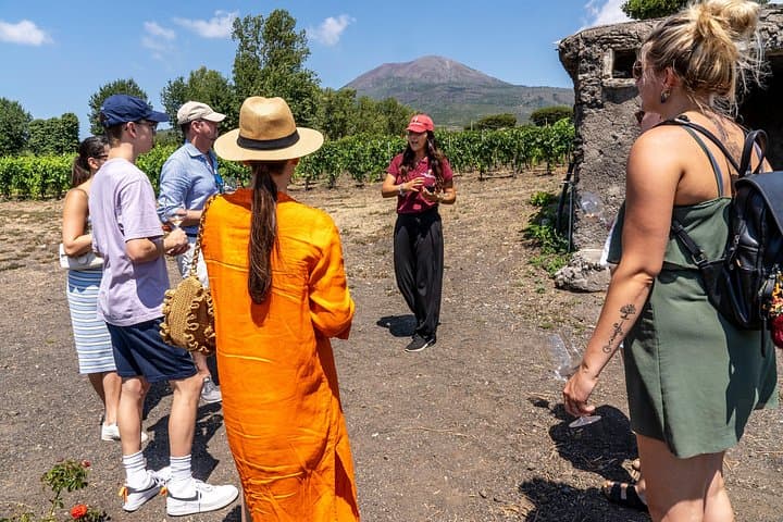 Private Pompeii Tour with Wine Tasting Experience — photo 1 of 17
