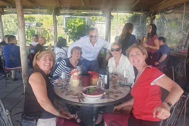 Luxury Tour from Naples to Pompeii Wine Testing and Herculaneum — photo 1 of 42