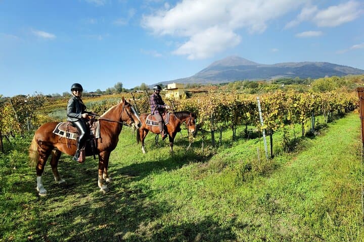 Horseback Riding on Vesuvius — photo 1 of 12