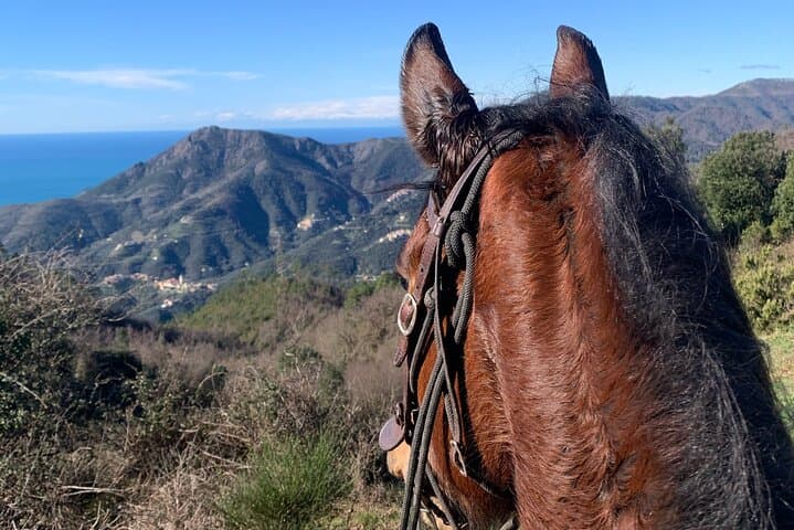 Horse ride on the coast of Monterosso al Mare Cinque Terre — photo 1 of 14