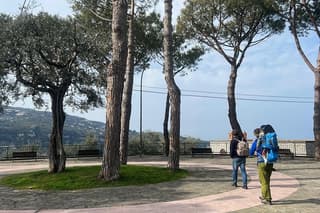 2 Hours Tour: From the Hills to the Sea of Sorrento