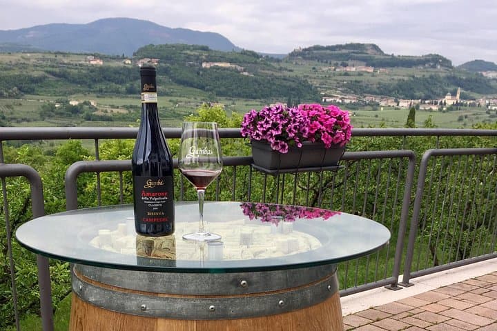 Amarone Wine Tasting in Valpolicella — photo 1 of 7