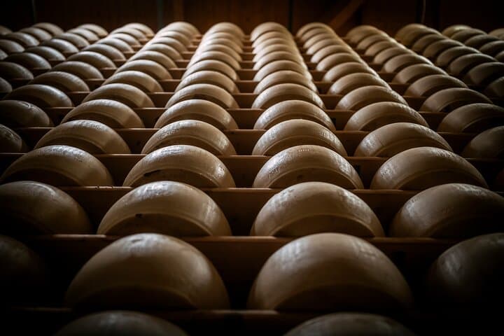 Parmigiano and Culatello Private Tour with Lunch and Farm Visit — photo 1 of 11