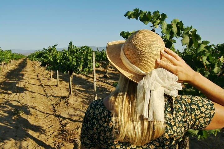 5 Days Food Wine and Culture West Sicily Tour In Palermo — photo 1 of 10