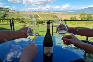 Montefalco Wine Tour with Farm-to-Table Lunch (2 Wineries)