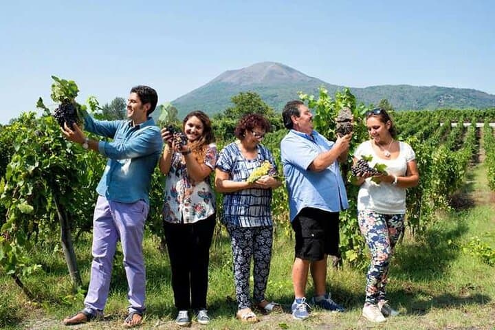 Pompeii and Cantina del Vesuvio Winery Private Tour — photo 1 of 13