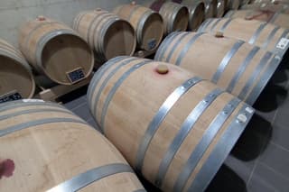 Half-Day Irpinia Wine Tour from SALERNO with sommelier