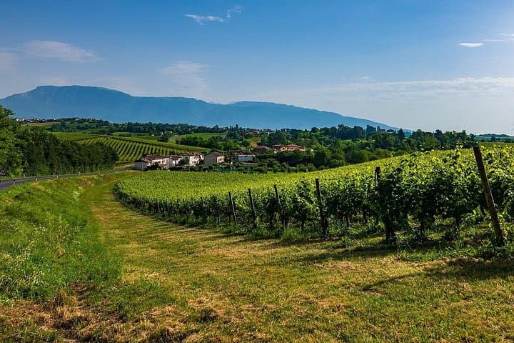 Private Tour from Venice to Hill of Prosecco — photo 1 of 5
