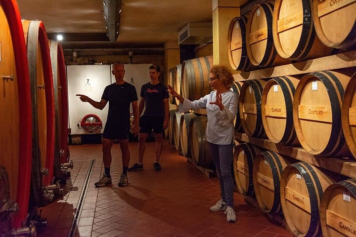 Tour of the cellar and tasting of 6 wines — photo 1 of 4