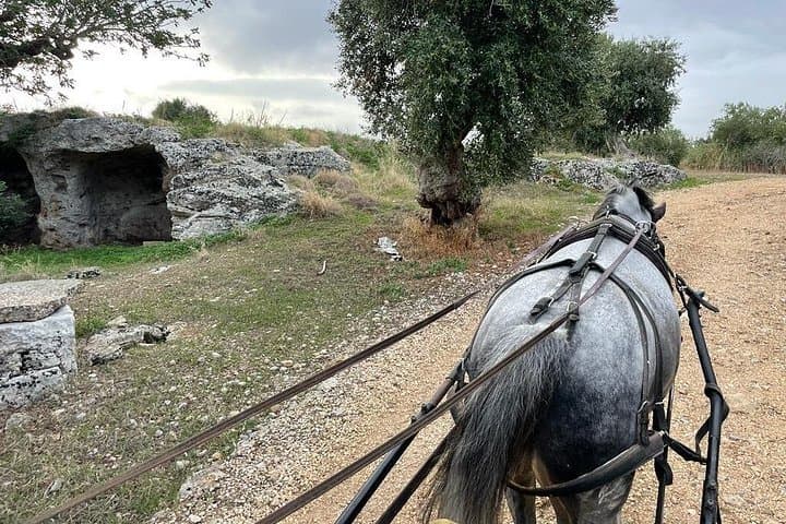 Horseback riding through the Apulian countryside — photo 1 of 14
