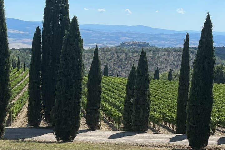Discover Brunello Wines — photo 1 of 12