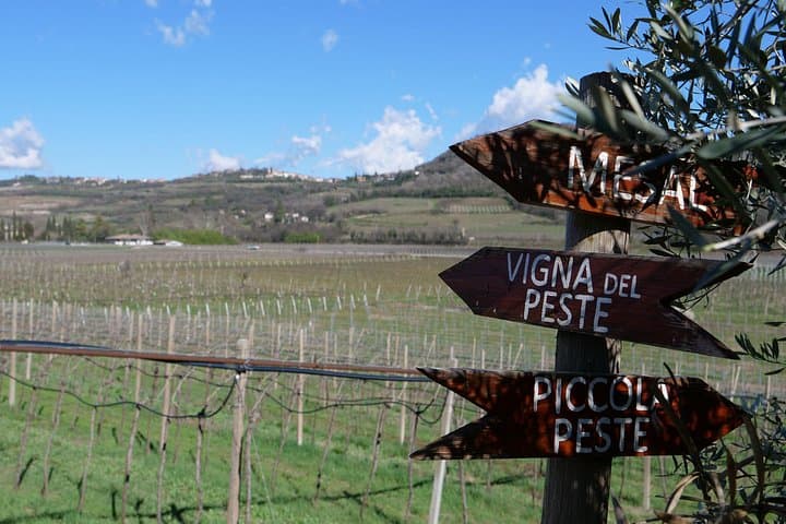 Verona - Cellar Tour and Tasting of NATURAL WINES — photo 1 of 3