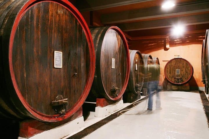 Private Tour in the Cellar and Tasting of Langhe Wines — photo 1 of 7