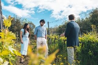 Visit to the Cellar with Wine & Food Tasting over the Val d'Orcia