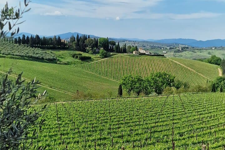 PRIVATE WINE TOUR TUSCANY Chianti Wineries, Expert English driver — photo 1 of 50