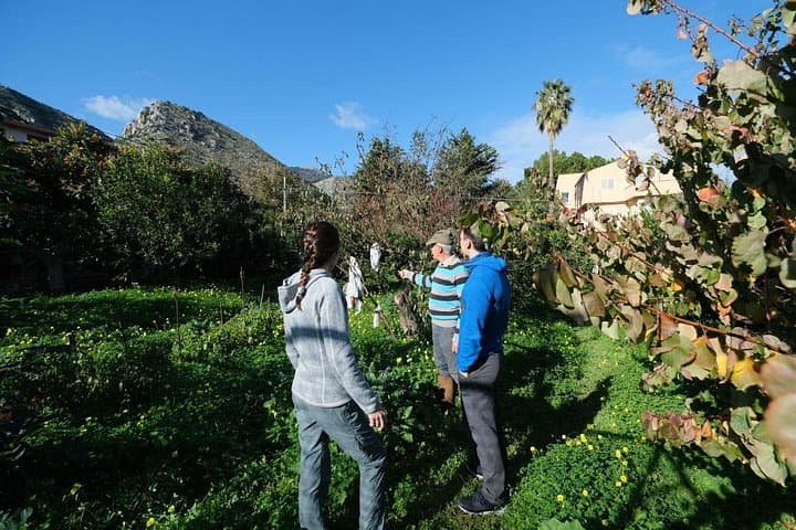 Authentic Sicilian Cooking Experience & Garden Disocvery — photo 1 of 17