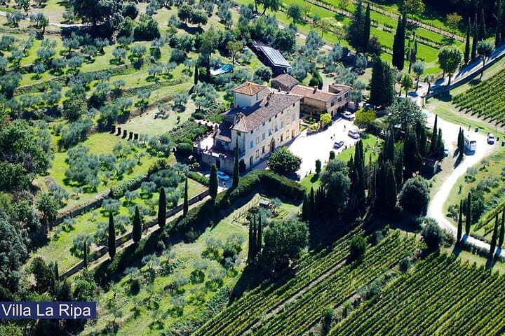 Tour of the vineyards and tasting of Evo wines and oil in Tuscany — photo 1 of 6