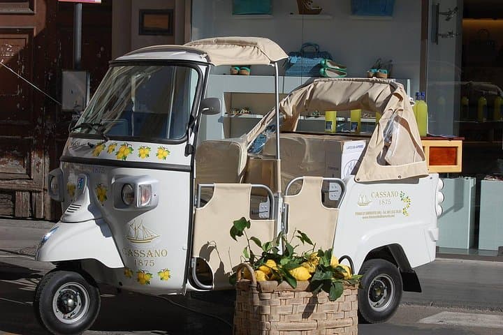 Private tour of limoncello igp with tasting by the sea — photo 1 of 5
