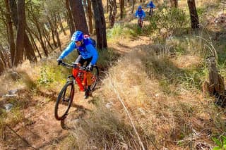 Pedals & Flavours: Sorrento oil and lemon tour