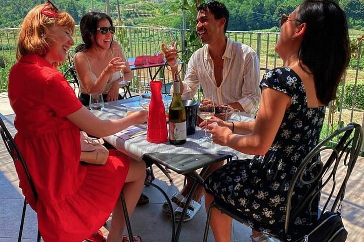 Valle del Sole Tasting of 3 wines and EVO oil — photo 1 of 12