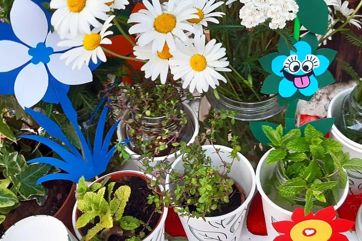 Creative laboratory - Plants and colours — photo 1 of 9