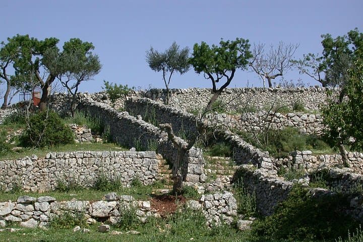 Alberobello: The secret origins of the trulli, private tour 2 hours — photo 1 of 7