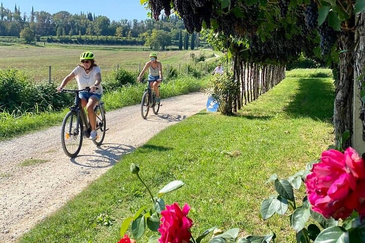 E-Bike Tour and wine tasting in Lazise Countryside — photo 1 of 13