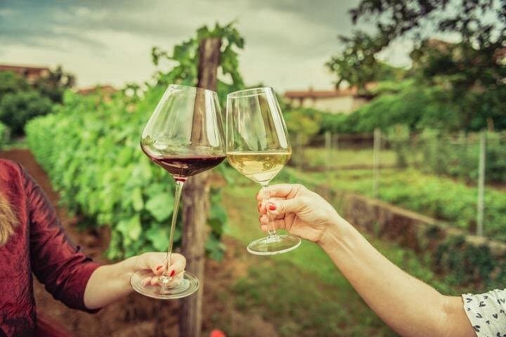 Tasting of Vernaccia, Chianti and Extra Virgin Olive Oil — photo 1 of 12
