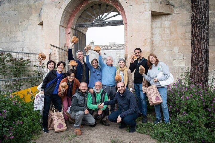 Food and Wine Tour between the Patriarchs Olives and the Oil Temples — photo 1 of 44