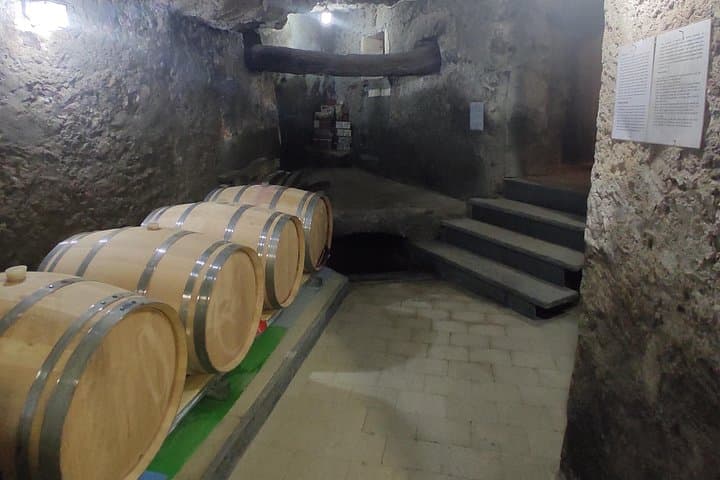 Vesuvius wine tasting with company tour — photo 1 of 7