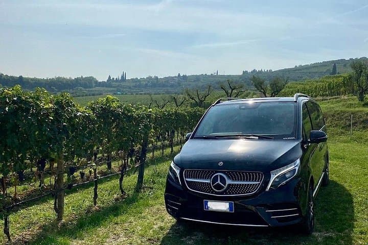 Tour Ferrari, Lambo, Parmigiano, Balsamic, Wine with Lunch — photo 1 of 6