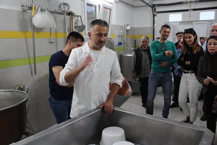 Raw Milk Cheese Tasting in the heart of Sardinia — photo 1 of 13