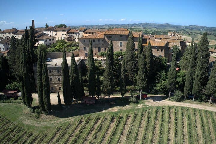Guided tour with wine tasting and local organic products — photo 1 of 14