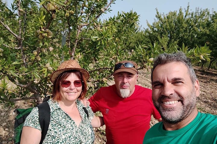 Oleotourism Caruso Between Art Olive Trees and Landscapes — photo 1 of 6