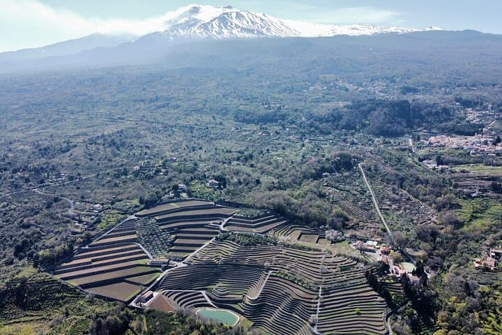 Private Etna Panoramic & wine tasting with food combination — photo 1 of 26