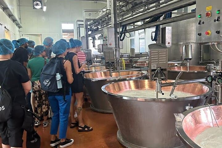 Day Tour Parmigiano, Ferrari Museum, Balsamic, Lambrusco, Lunch with Transfer — photo 1 of 8