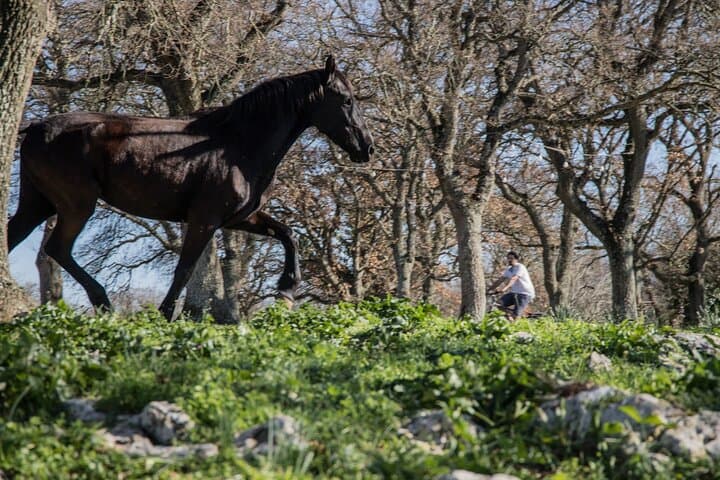 Martina Franca e-Bike tour . Visit a breeding and a dairy farm — photo 1 of 34