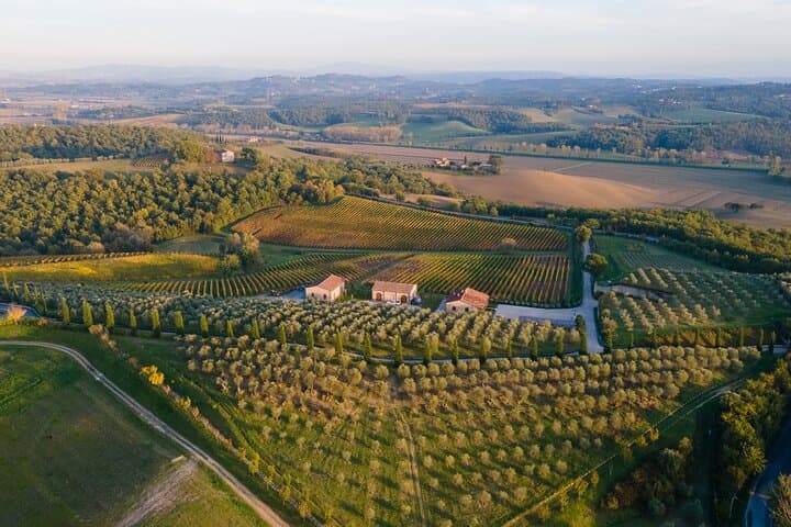 2 Hours Visit and Wine Tasting with tastings in Val D'Orcia — photo 1 of 9