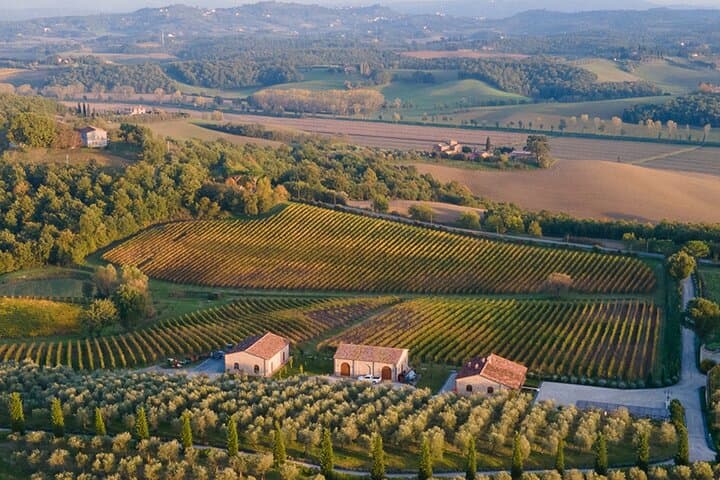 1h30m Wine Tasting and Visit to Val D'Orcia — photo 1 of 10