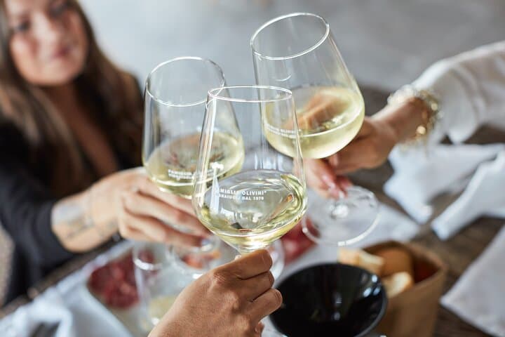Wine Tour and Tasting of Lugana Wines near Sirmione — photo 1 of 13