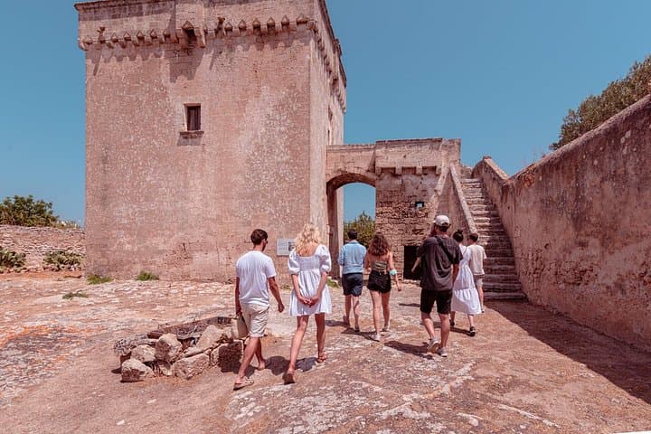 Tour Rural Park of Masseria with 3 labels of EVO oil Tasting — photo 1 of 6